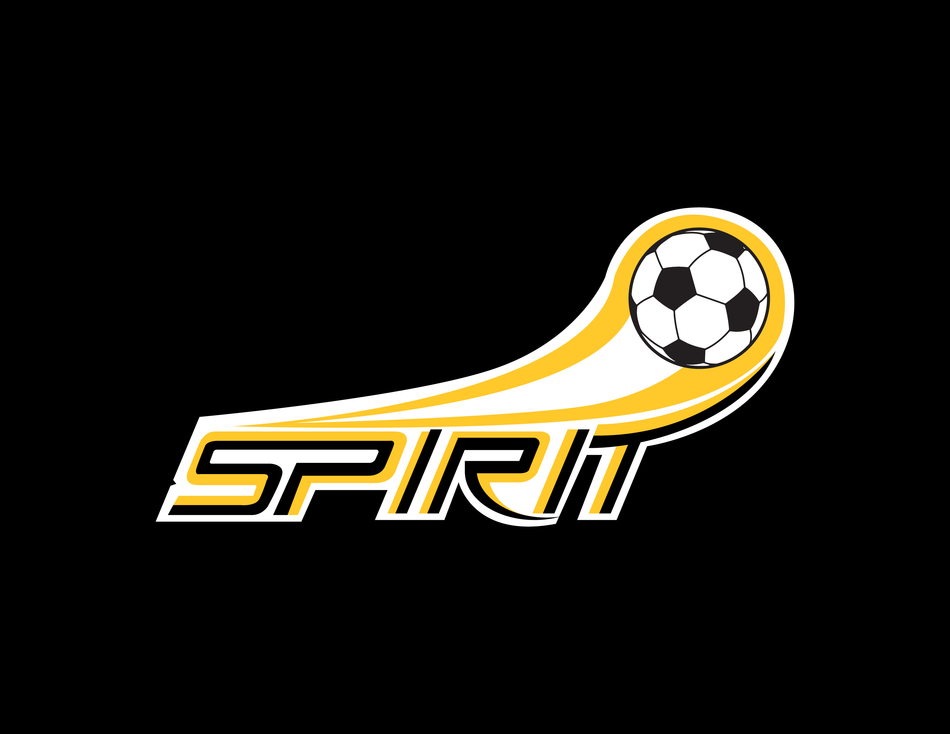 Pittsburgh Spirit Reunion coming to Hounds' Oct. 10 match featured image